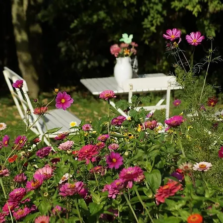 Norderlands Pellworm