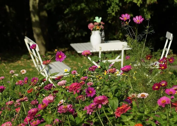 Norderlands Pellworm