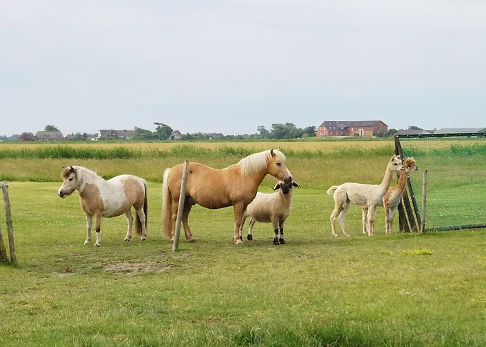 Norderlands Apartamento *